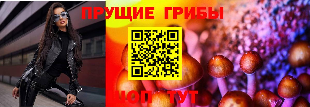 Псилоцибиновые грибы прущие грибы Химки