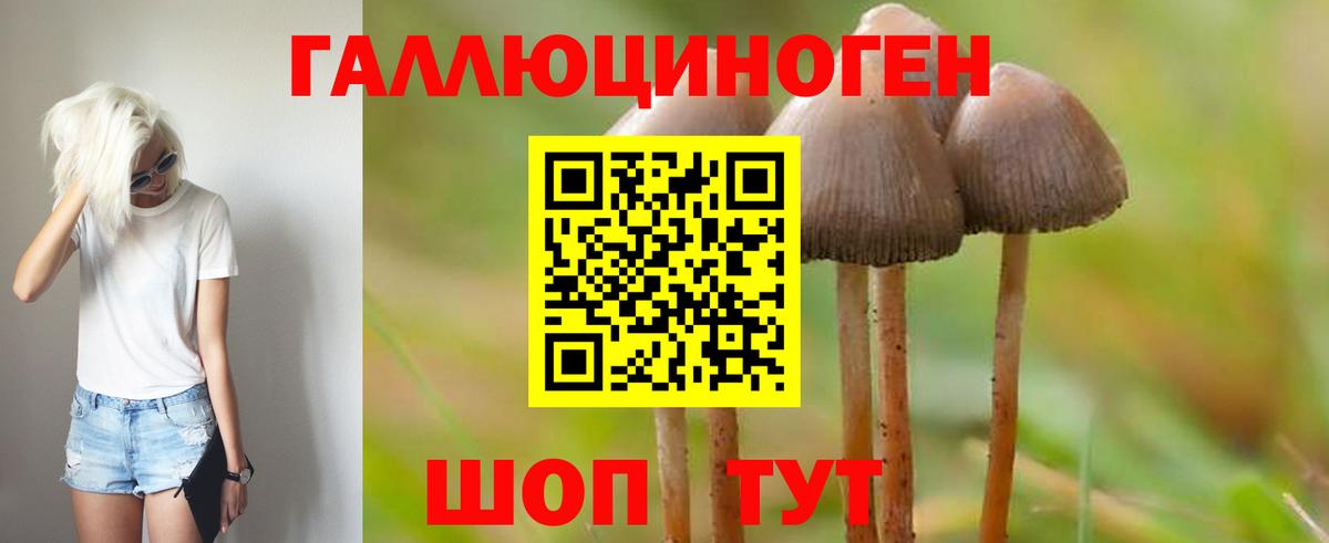 Псилоцибиновые грибы Cubensis  Вход с VPN  Химки 